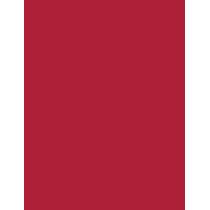 Maybelline Color Sensational   1,2G 90 Brick Red   Für Frauen (Lip Pencil)