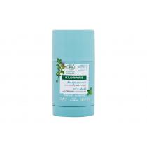 Klorane Aquatic Mint Stick Mask  25G    Für Frauen (Face Mask)