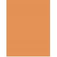 Lancaster Infinite Bronze  Spf30    50Ml Für Frauen (Makeup) Tinted Protection