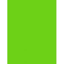 Dermacol Neon   5Ml 39 Neon Verde   Für Frauen (Nail Polish)