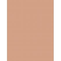 Artdeco Perfect Stick   4G 1 Velvet Rose   Für Frauen (Corrector)