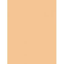 Rimmel London Match Perfection Spf20  30Ml 102 Light Nude   Für Frauen (Makeup)