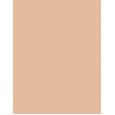 Missha M Perfect Cover BB Cream EX  SPF42   No.23 Natural Beige 50ml(BB Cream) für Frauen