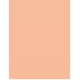 Artdeco Fluid Camouflage Foundation      Neutral 15 Natural Sand 20ml(Makeup) für Frauen
