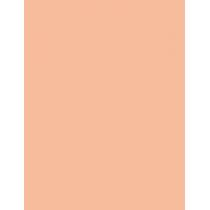 Artdeco Fluid Camouflage Foundation      Neutral 15 Natural Sand 20ml(Makeup) für Frauen