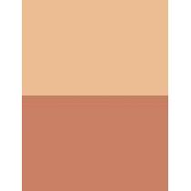 Wet N Wild Megaglo Contouring Palette  12,5G Dulce De Leche   Für Frauen (Powder)