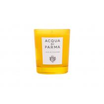 Acqua di Parma Luce Di Colonia       70g(Scented Candle)Ohne Box Unisex