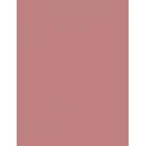 Maybelline Lifter Liner      1,2G Für Frauen (Lip Pencil)