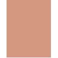 Shiseido UV Protective Compact Foundation  SPF30   Dark Beige 12g(Makeup) für Frauen