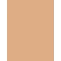 Bourjois Paris Always Fabulous 24H  30Ml 420 Light Sand  Spf20 Für Frauen (Makeup)