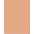 Rimmel London Kind & Free Moisturising Skin Tint Foundation  30Ml 10 Rose Ivory   Für Frauen (Makeup)