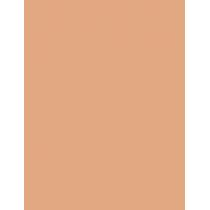 Rimmel London Kind & Free Moisturising Skin Tint Foundation  30Ml 10 Rose Ivory   Für Frauen (Makeup)