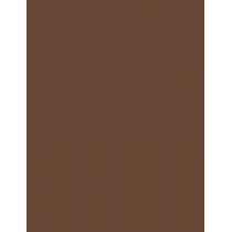 Inebrya Color      6/3 Dark Blonde Golden 100ml(Hair Color) Unisex