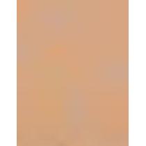 L'Oréal Paris Infaillible 32H Fresh Wear  30Ml 140 Golden Beige  Spf25 Für Frauen (Makeup)