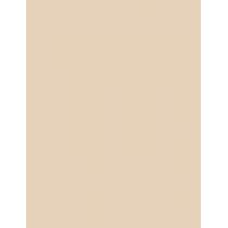 Clinique Almost Powder Makeup Spf15 10G  Für Frauen  (Makeup)  02 Neutral Fair