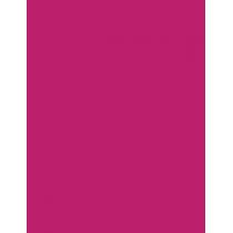 Sally Hansen Miracle Gel   14,7Ml 256 Proper P-Rose   Für Frauen (Nail Polish)