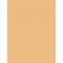 Estée Lauder Double Wear Maximum Cover  30Ml 3N1 Ivory Beige  Spf15 Für Frauen (Makeup)