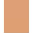 Revlon Colorstay Combination Oily Skin  30Ml 370 Toast  Spf15 Für Frauen (Makeup)