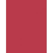 Nyx Professional Makeup Line Loud 1,2G    (Lip Pencil) Für Frauen  12 On A Mission