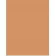 TIRTIR Mask Fit Red Cushion      23N Sand 18g(Makeup) Unisex