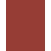 Nyx Professional Makeup Duck Plump 0,33G Plumping Lip Liner   (Lip Pencil) Für Frauen  07 Swollen Spice