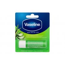 Vaseline Aloe Vera      4,8G Für Frauen (Lip Balm) Lip Care