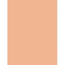 Shiseido Future Solution Lx Total Radiance Foundation  30Ml N3 Neutral  Spf15 Für Frauen (Makeup)