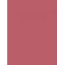 Max Factor Lipfinity 24Hrs  4,2G 001 Pearly Nude   Für Frauen (Lipstick)