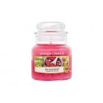 Yankee Candle Red Raspberry   104G    Unisex (Scented Candle)