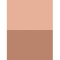Artdeco Bronzing Powder Compact Long-Lasting Refill    30 Terracotta 10g(Powder) für Frauen