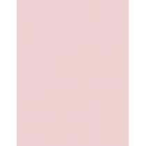 Sally Hansen Diamond Strength   13,3Ml 220 Champagne Toast   Für Frauen (Nail Polish)