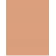 Shiseido UV Protective Compact Foundation  SPF30   Dark Ivory 12g(Makeup) für Frauen