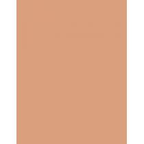 Shiseido UV Protective Compact Foundation  SPF30   Dark Ivory 12g(Makeup) für Frauen