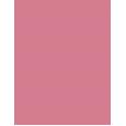 Shiseido ColorGel Lip Balm      107 Dahlia 2g(Lipstick) für Frauen
