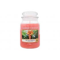 Yankee Candle The Last Paradise   623G    Unisex (Scented Candle)