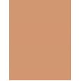 Estée Lauder Double Wear Sheer Long-Wear Makeup  30Ml 4N2 Spiced Sand  Spf20 Für Frauen (Makeup)