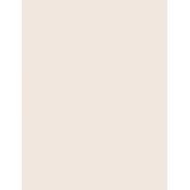 Inebrya Bionic Color Super Lighteners     11/0 Superlight Blonde Platinum 100ml(Hair Color) Unisex