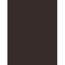 RevitaLash Defining Liner      Slate 0,3g(Eye Pencil) Unisex