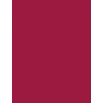 L'Oréal Paris Color Riche 1,2G    (Lip Pencil) Für Frauen  2010 Laprune