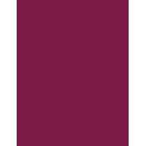Rimmel London Lasting Provocalips  3,9Ml  Für Frauen  (Lipstick) 16HR 440 Maroon Swoon