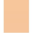 L'Oréal Paris Infaillible 24H Fresh Wear Foundation In A Powder  9G 040 Cashmere   Für Frauen (Makeup)