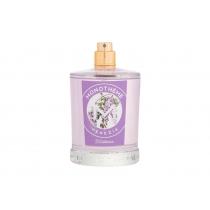 Monotheme Classic Collection Wisteria      100ml(Eau de Toilette)Ohne Box für Frauen