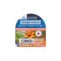 Yankee Candle The Last Paradise   22G    Unisex (Scented Wax)