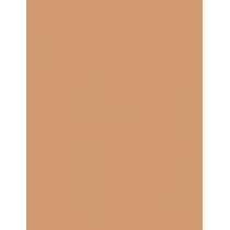 Clinique Beyond Perfecting      14,5G Für Frauen (Makeup) Powder Foundation + Concealer