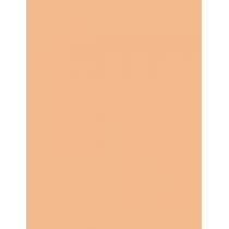 Bourjois Paris Always Fabulous 24H  30Ml 110 Light Vanilla  Spf20 Für Frauen (Makeup)