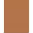 Shiseido Synchro Skin Correcting GelStick     401 Tan 2,5g(Corrector) für Frauen