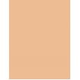 Shiseido Synchro Skin Radiant Lifting  SPF30   350 Maple 30ml(Makeup) für Frauen