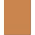 Erborian Bb Creme Makeup-Care Face Cream 15Ml  Für Frauen  (Bb Cream) SPF20 Caramel