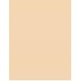 Shiseido Synchro Skin Self-Refreshing  SPF30   130 Opal 30ml(Makeup) für Frauen
