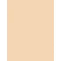 Shiseido Synchro Skin Self-Refreshing  SPF30   130 Opal 30ml(Makeup) für Frauen